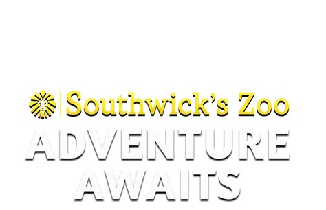 Home Page Southwicks Zoo Its More Than A Zoo Its An Adventure