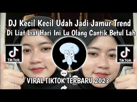 DJ KECIL KECIL UDAH JADI JAMURTREND DI LIAT LIAT HARI INI LU OLANG