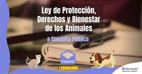 Ley Estatal De Protección Animal A Consulta Pública Propuestas