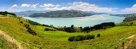 Otago Harbour Dunedin Ravensbourne From Highcliff Road Flickr