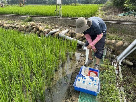 桃市與臺大食安所攜手 推廣放流水農灌三省二減效益 中華日報中華新聞雲