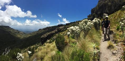 Mount Kenya National Park Stunningtravel