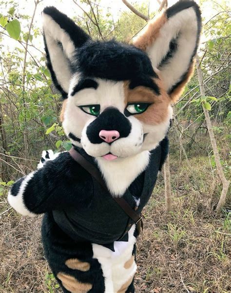 Fursuits For Sale Contact Us On Whatsapp Fursuit Furry