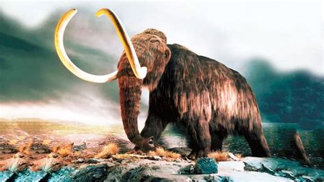 Descubren restos de mamut de la Edad de Hielo en México INVDES