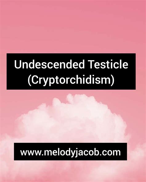 Undescended Testicle Cryptorchidism Melody Jacob