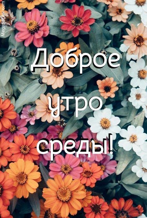 Открытки с добрым утром среды красивые ⋆ Мегапозитив