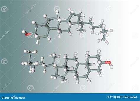 Cholesterol Structure Of A Molecule Vector Illustration