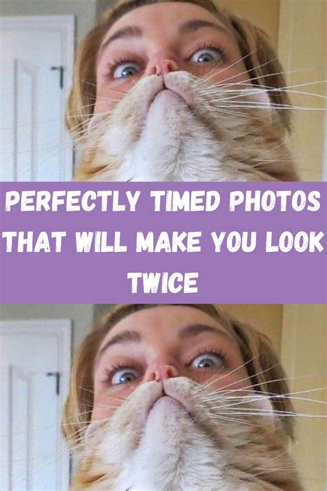 Perfectly Timed Photos That Will Make You Look Twice Artofit