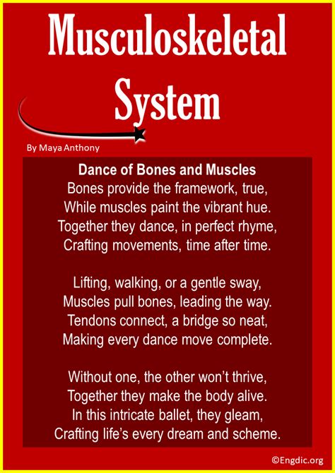 Short Rhyming Poems About The Skeletal System Engdic