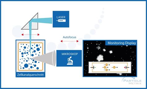 Particle Metrix Technology Nanoparticle Tracking Analysis