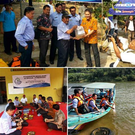 Tebar Benih Ikan Di Waduk Jatibarang Pemkotsemarang