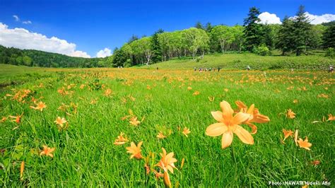 The Gov T Of Japan On Twitter A Mountain Wetland Joining Fukushima