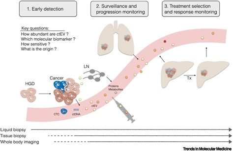 Single Extracellular Vesicle Analysis For Early Cancer Detection