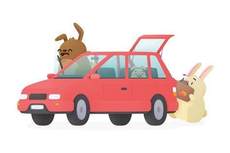 Rental Cars
