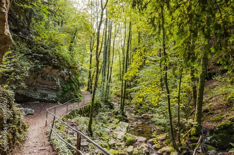 Twann Twannbachschlucht Schlucht Wald Waldweg Wanderweg Naturweg