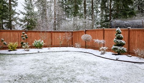 How To Care For Your Lawn In Winter Hardscape And Landscape Supplier