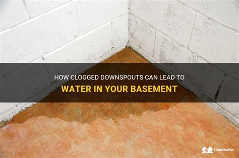 How Clogged Downspouts Can Lead To Water In Your Basement Shunshelter