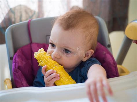 Baby Girl Eating Corn Stock Photo Image Of High Smiling 245619526