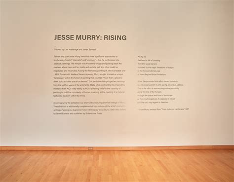 Jesse Murry Rising Exhibitions Usf Cam Contemporary Art Museum