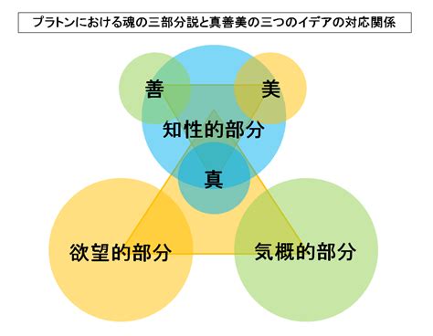 プラトンにおける魂の三部分説と真善美の三つのイデアの対応関係、プラトンの魂の三部分説③ Tantanの雑学と哲学の小部屋