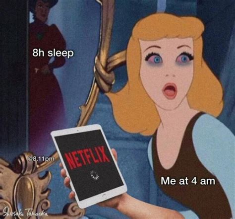 Hilarious Memes That Sum Up Netflix 27 PICS Izismile