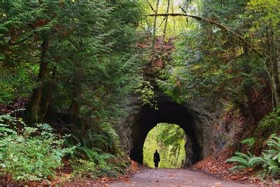 Sehome Arboretum Gallery Western Washington University