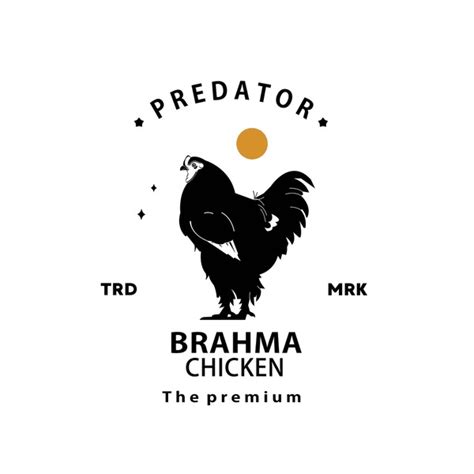 Brown Brahma Hen Over 1 Royalty Free Licensable Stock Vectors And Vector