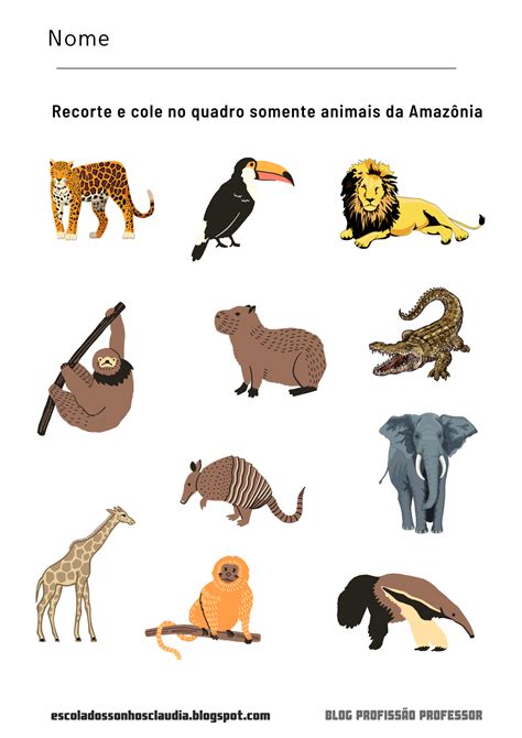 Animais Da Floresta Amazonica Para Imprimir