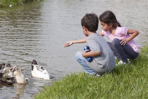 Little Girl At The Duck Pond Stock Photo Image Of Friends Learning