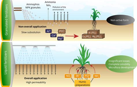 Features Of Liquid Fertilizer “ciiaat” ЦІІАТ