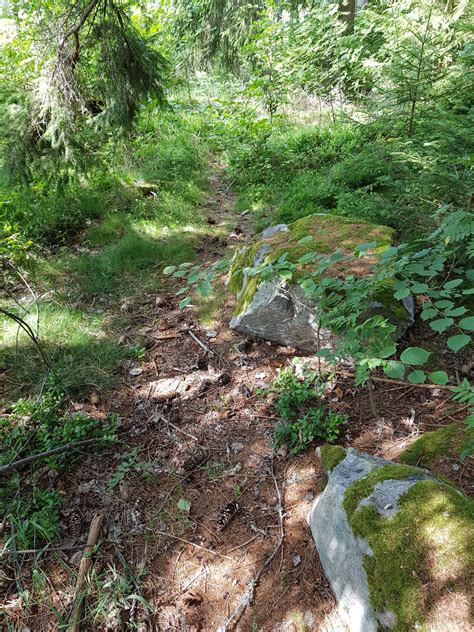 Laufrouten in Titisee Neustadt schönsten Strecken der Region