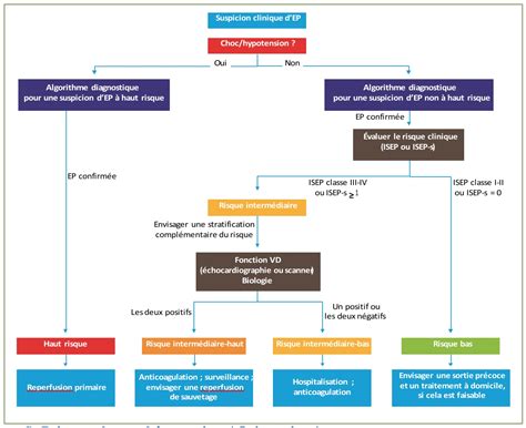 Diagnostic De L’embolie Pulmonaire Urgences Online