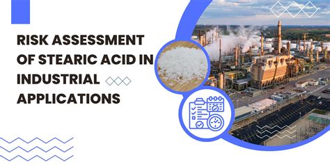 Exploring Stearic Acid Sources And Production Methods Stearic Acid