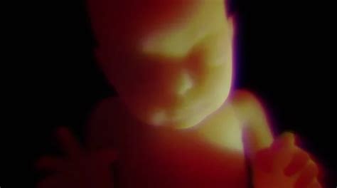 Baby In Womb Animation Stock Footage ~ Royalty Free Stock Videos | Pond5