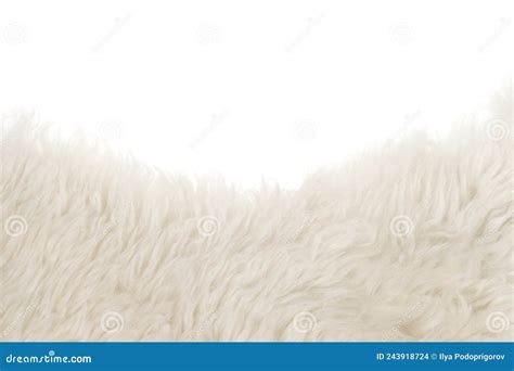 White Fluffy Wool Texture Isolated White Background Natural Fur