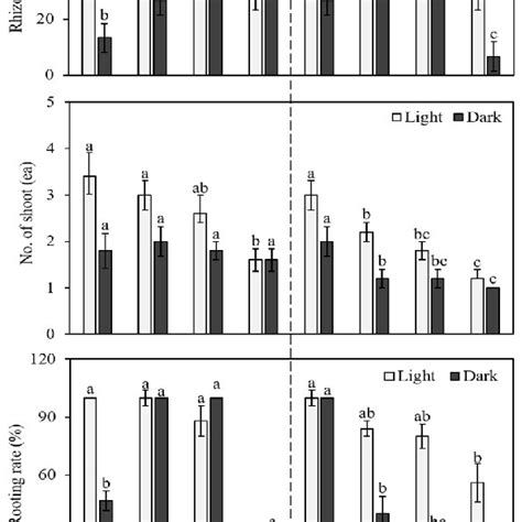 Analysis Of 2C DNA Content In Different Clones Of Cnidium Officinale