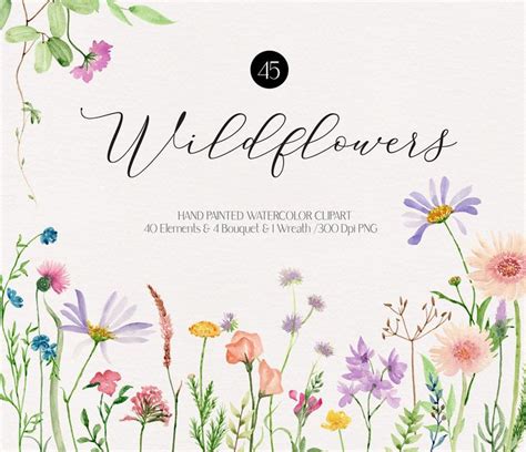 Wildflowers Watercolor Clipart Graphic Set