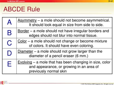 Ppt The Integumentary System Powerpoint Presentation Free Download Id 1395607