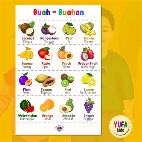 069 Poster mengenal nama - nama buah buahan | Lazada Indonesia