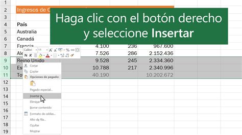 Como Colocar O Insertar Filas Y Columnas Nuevas En Excel Youtube Riset