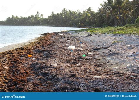 Water Pollution From Plastics And Waste Stock Photo Image Of Plastic