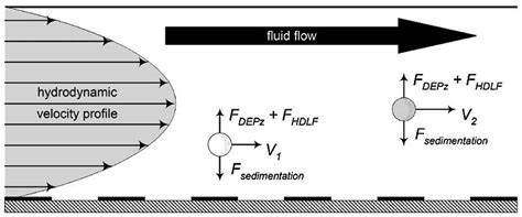 Dielectrophoresis Based Sample Handling In General Purpose Programmable Diagnostic Instruments