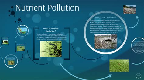 Nutrient Pollution By Grell Sutcliff On Prezi