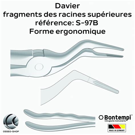 Daviers Racines supérieures Bontempi