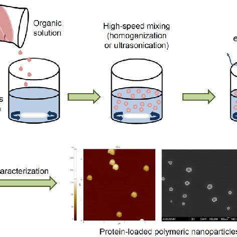 (PDF) Protein Drug-Loaded Polymeric Nanoparticles