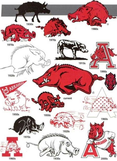 Hog History | Arkansas razorbacks crafts, Arkansas razorbacks, Arkansas razorbacks football