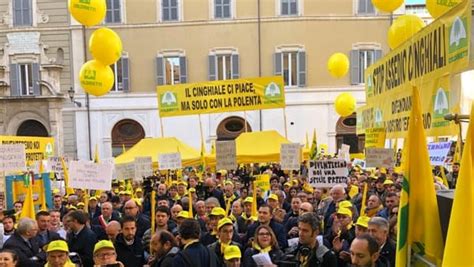 Incidenti stradali causati dai cinghiali ormai è emergenza