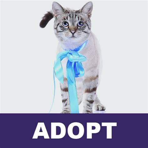 Adopt1 - Jersey Shore Animal Center