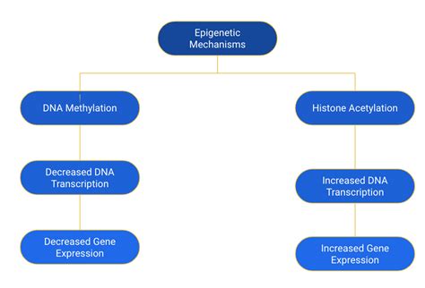 Overview of Epigenetics – THE INHERITANCE OF NON-GENETIC MATERIAL