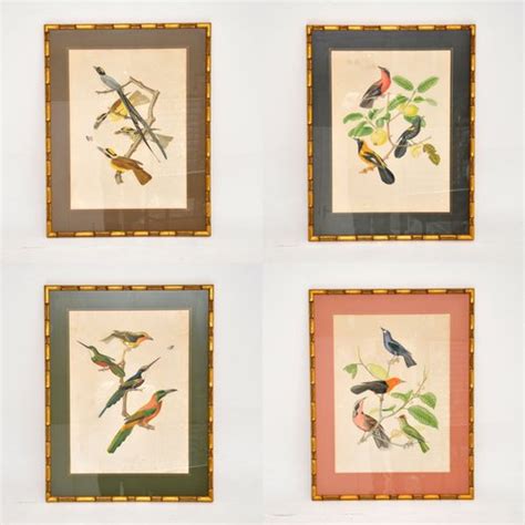 Viktorianische Ornithologische Lithographien Gerahmt 4er Set Bei